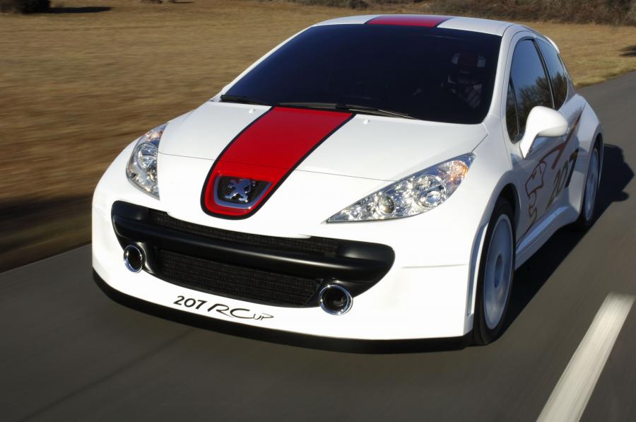  Peugeot 207 RCup 2006 года  (фото 6 из 10)